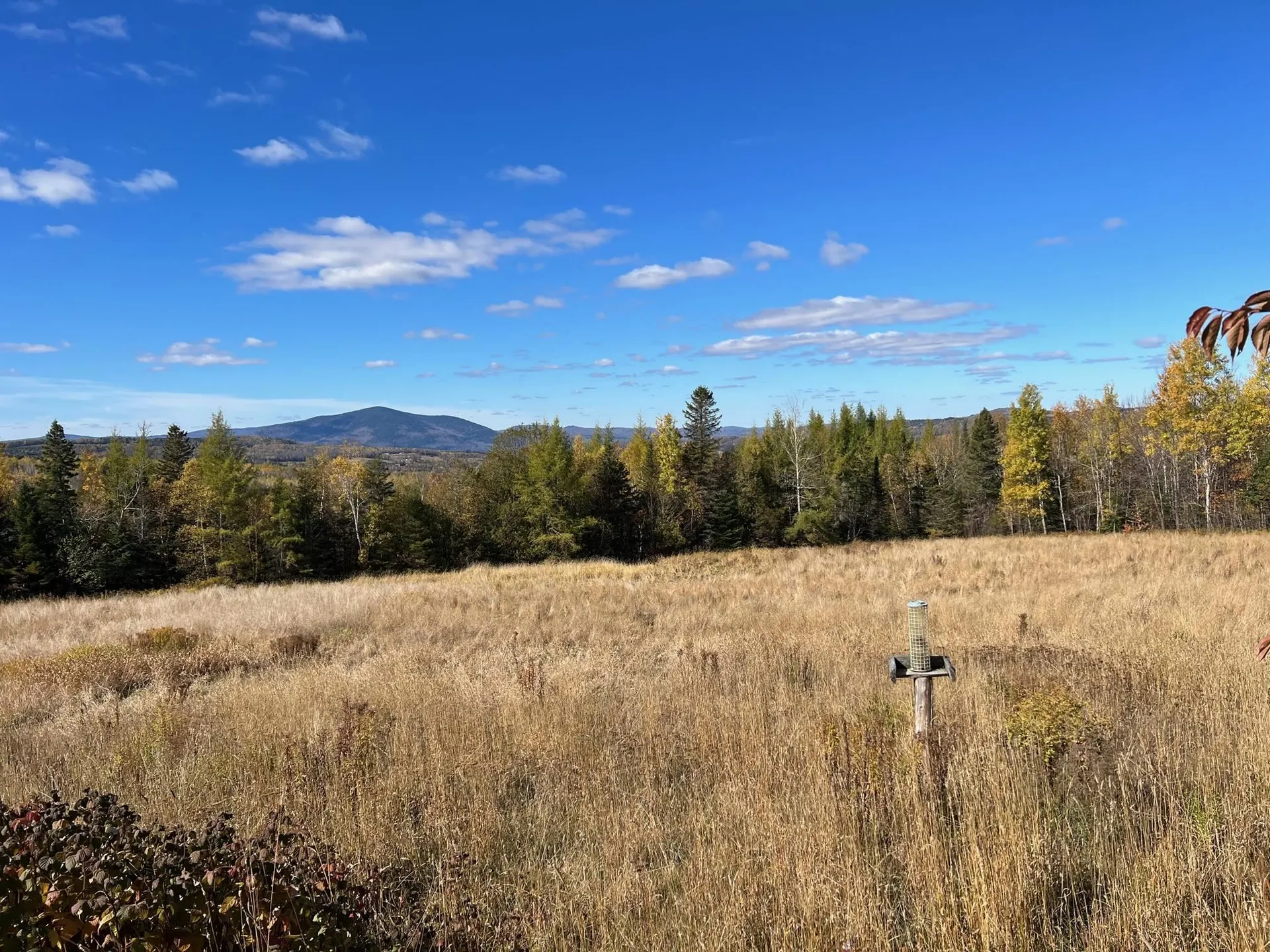 55 Carr Road Columbia NH 03576