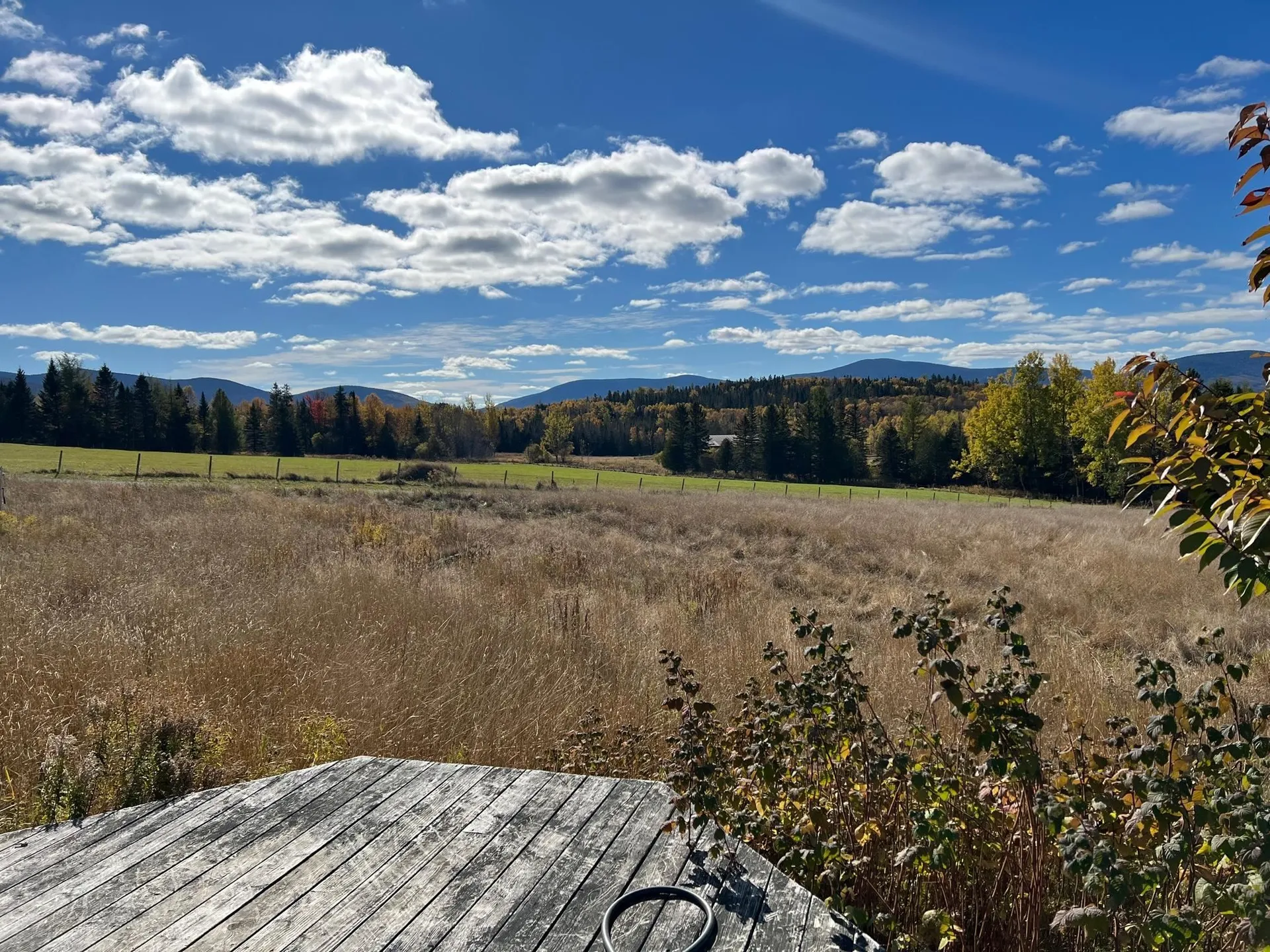 55 Carr Road Columbia NH 03576