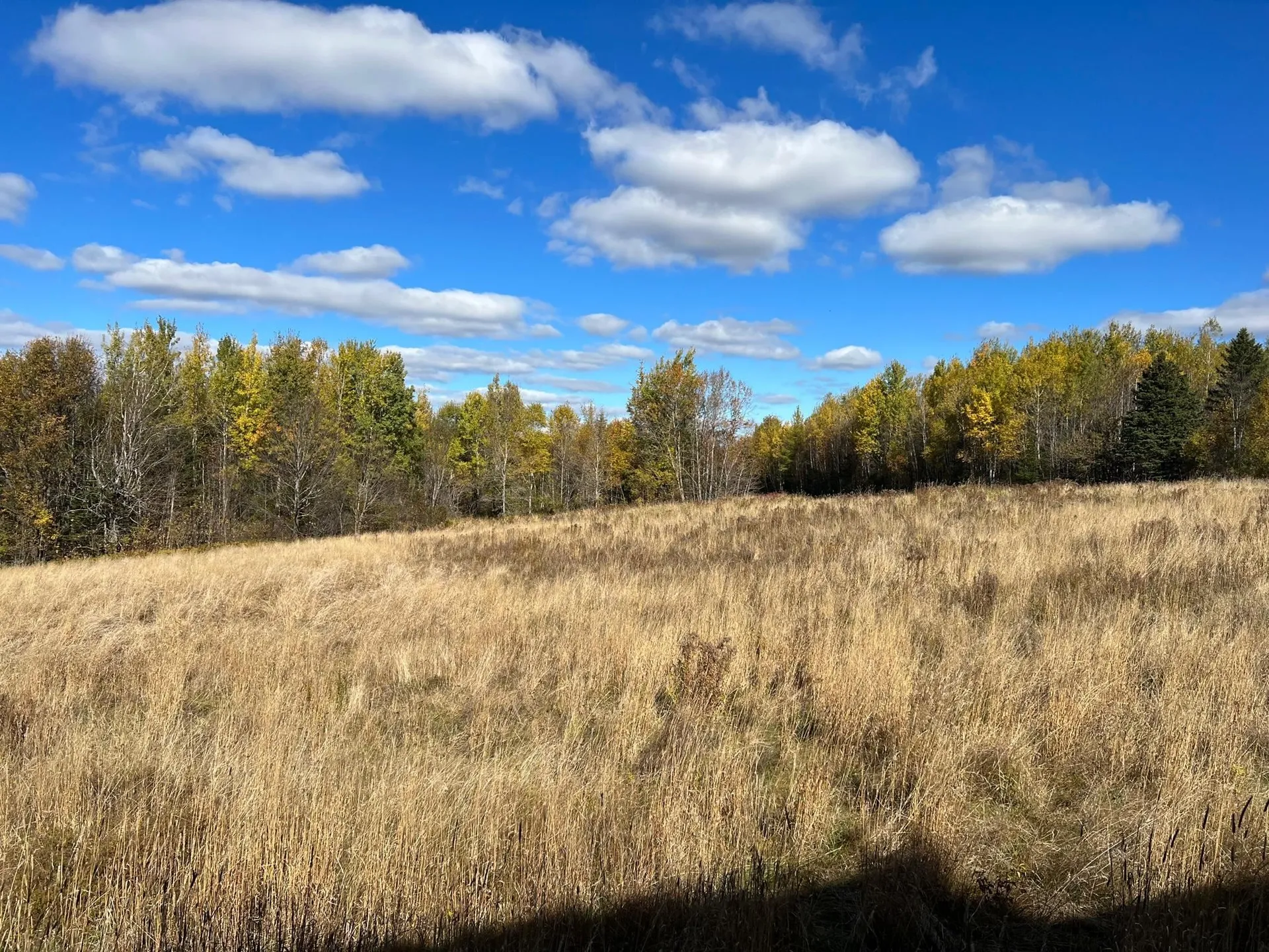 55 Carr Road Columbia NH 03576