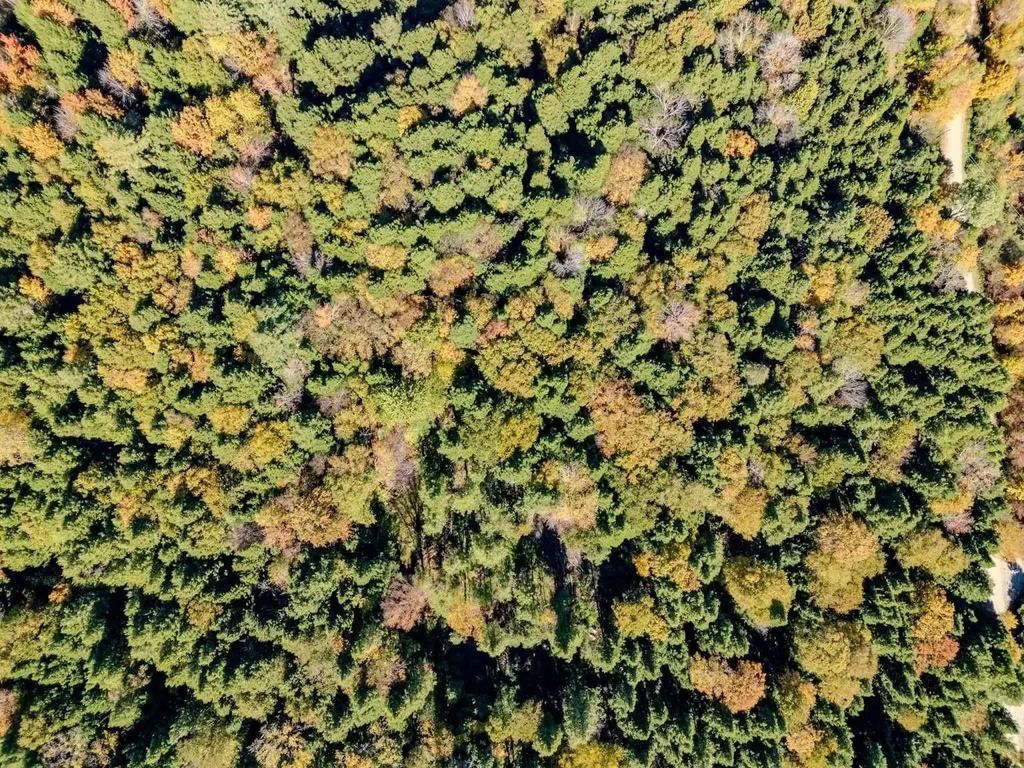 30 Bentley Lane Jericho VT 05465