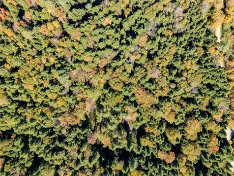 30 Bentley Lane Jericho VT 05465