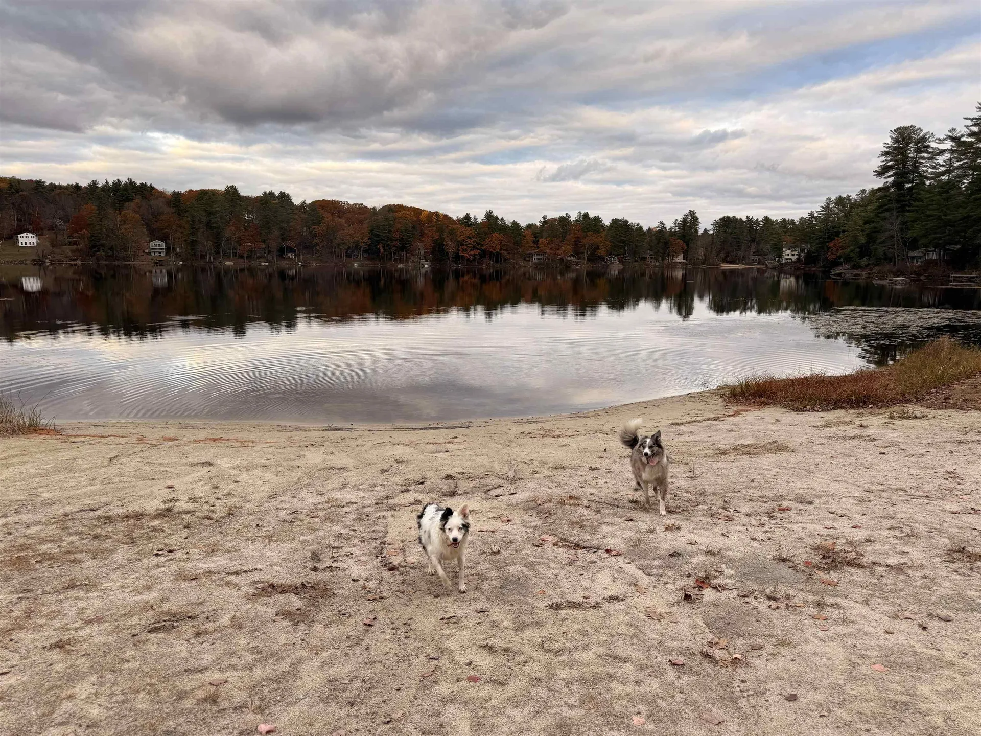 37 Autumn Road Hillsborough NH 03244