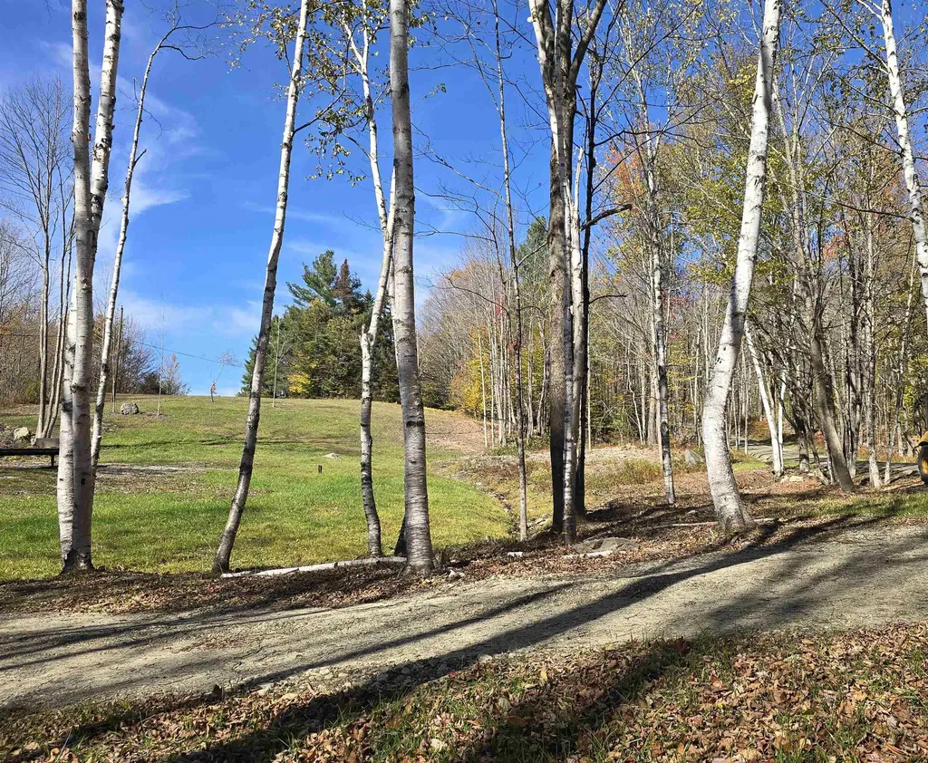 1114 Abbott Road Windham VT 05359