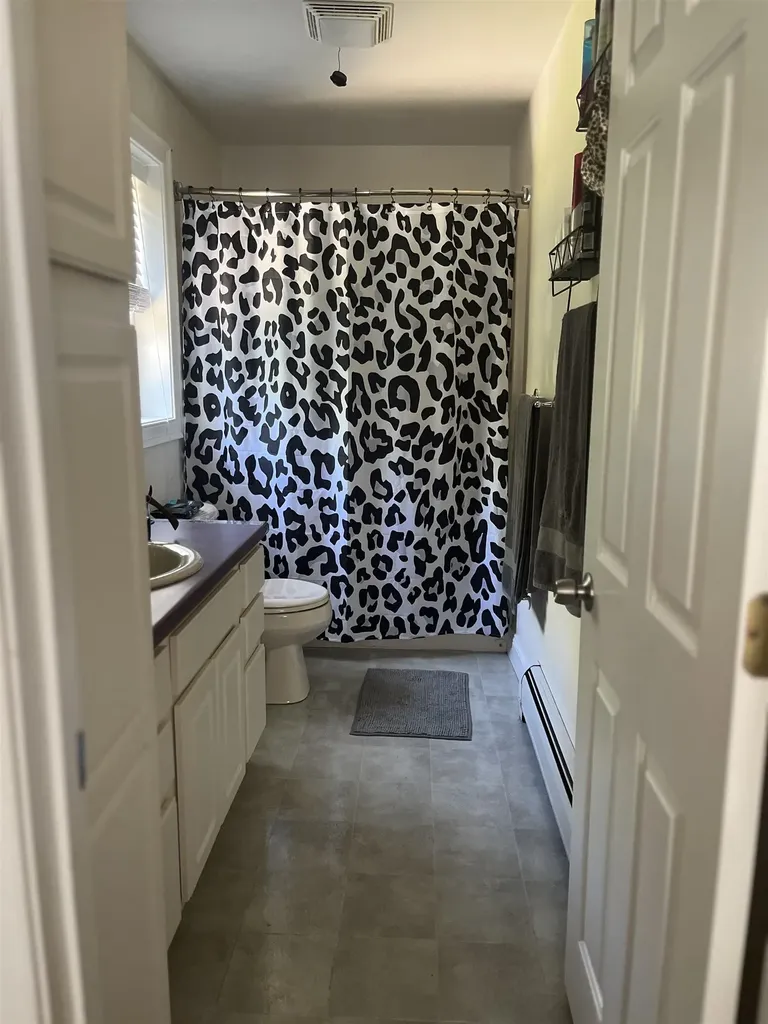 47 Daroska Road Pittsfield NH 03263