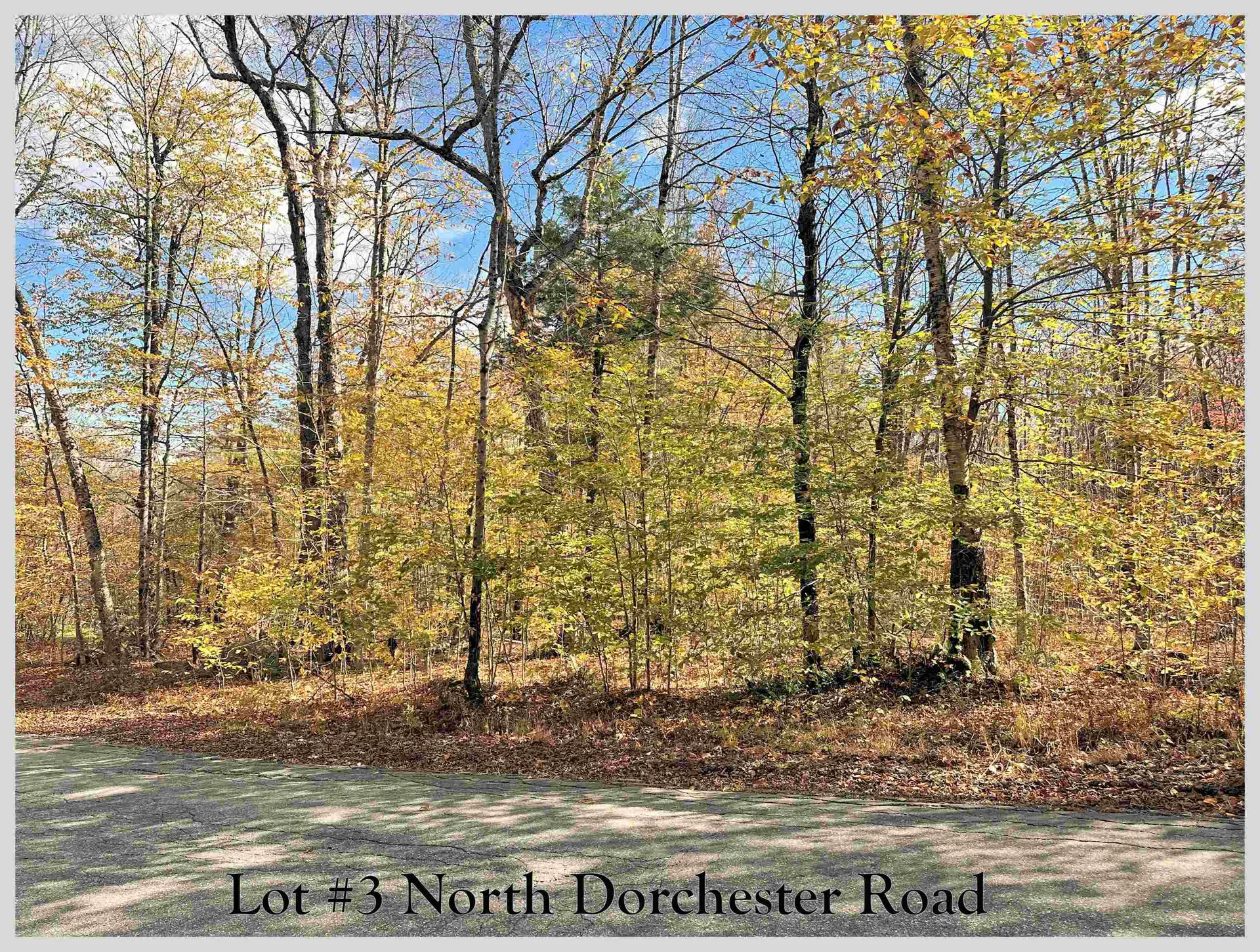 Lot #3 North Dorchester Road Wentworth NH 03282