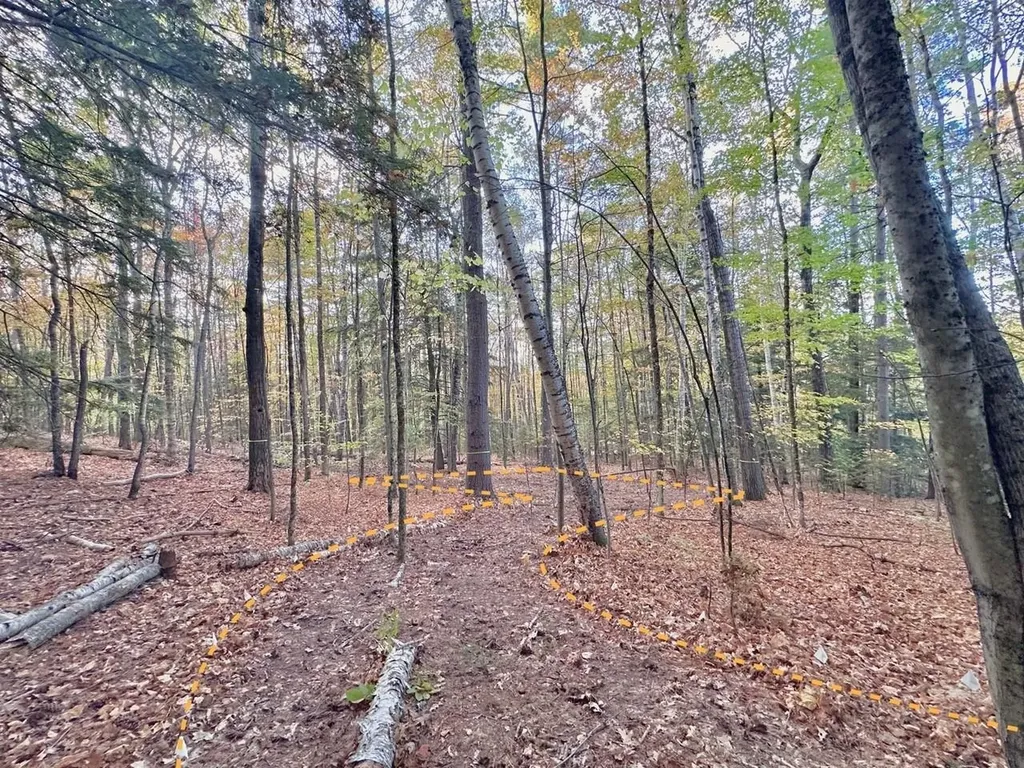 C100 Hodgeman Hiill Road Campton NH 03223