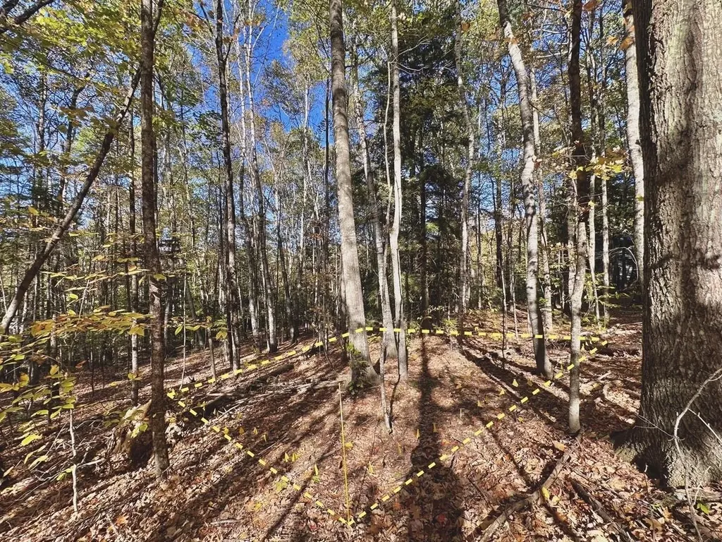 C100 Hodgeman Hiill Road Campton NH 03223