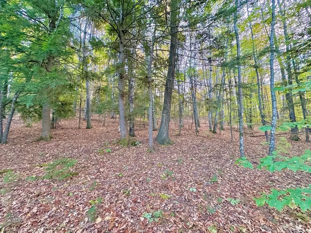 C100 Hodgeman Hiill Road Campton NH 03223