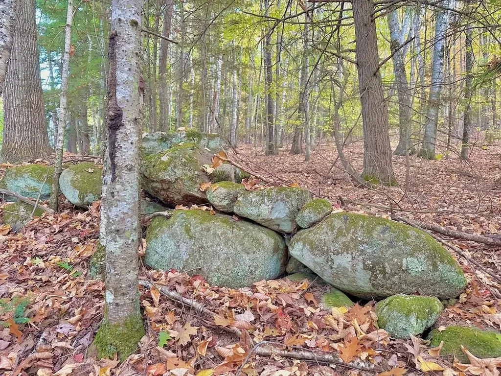 C100 Hodgeman Hiill Road Campton NH 03223