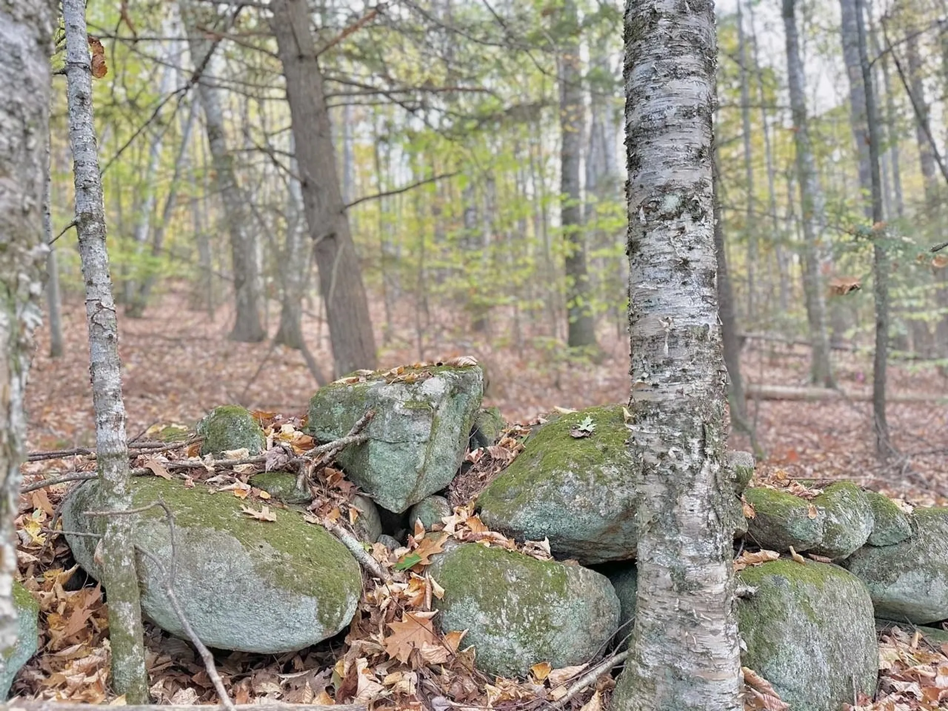 C100 Hodgeman Hiill Road Campton NH 03223