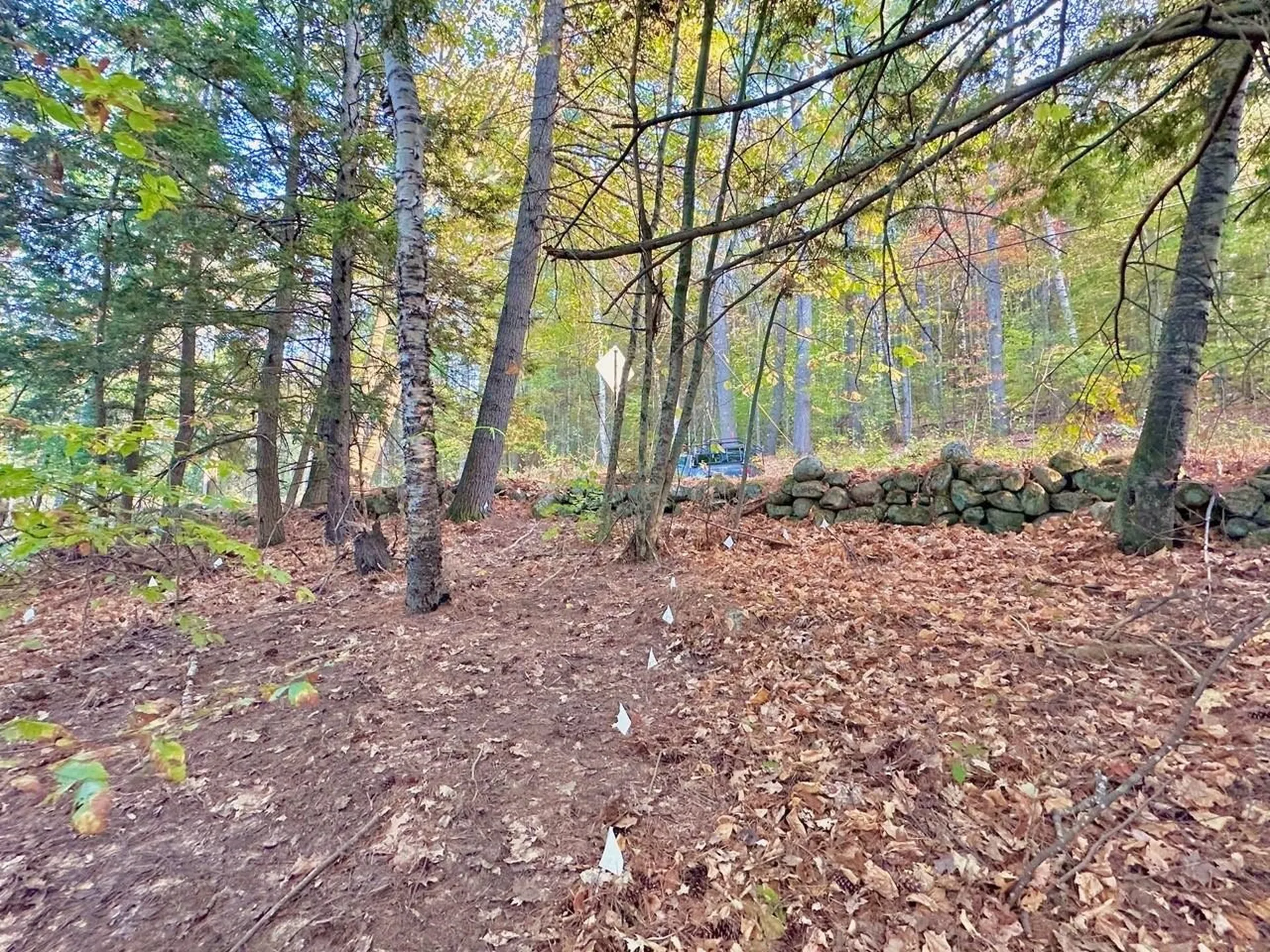 C100 Hodgeman Hiill Road Campton NH 03223