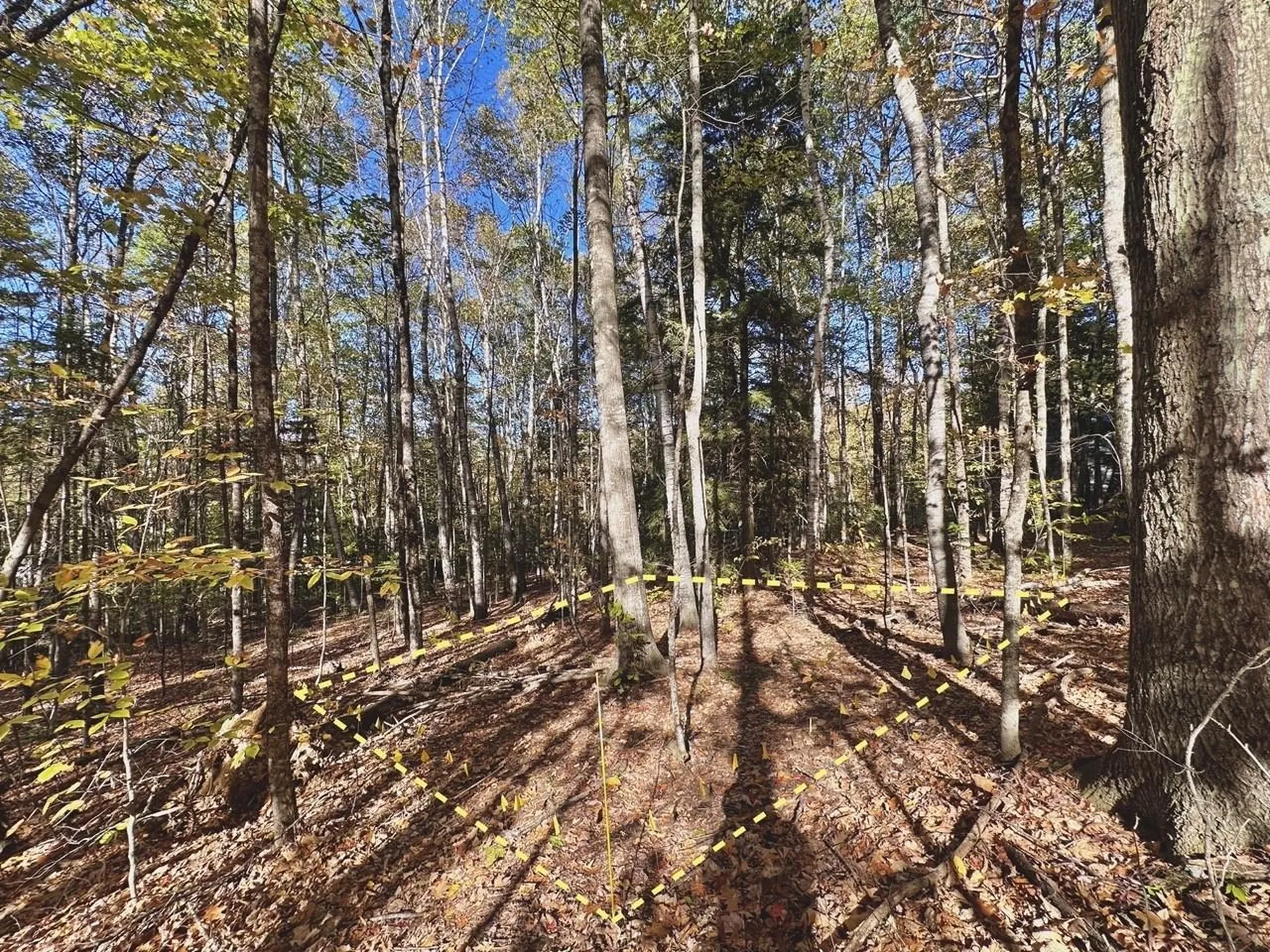 C100 Hodgeman Hiill Road Campton NH 03223