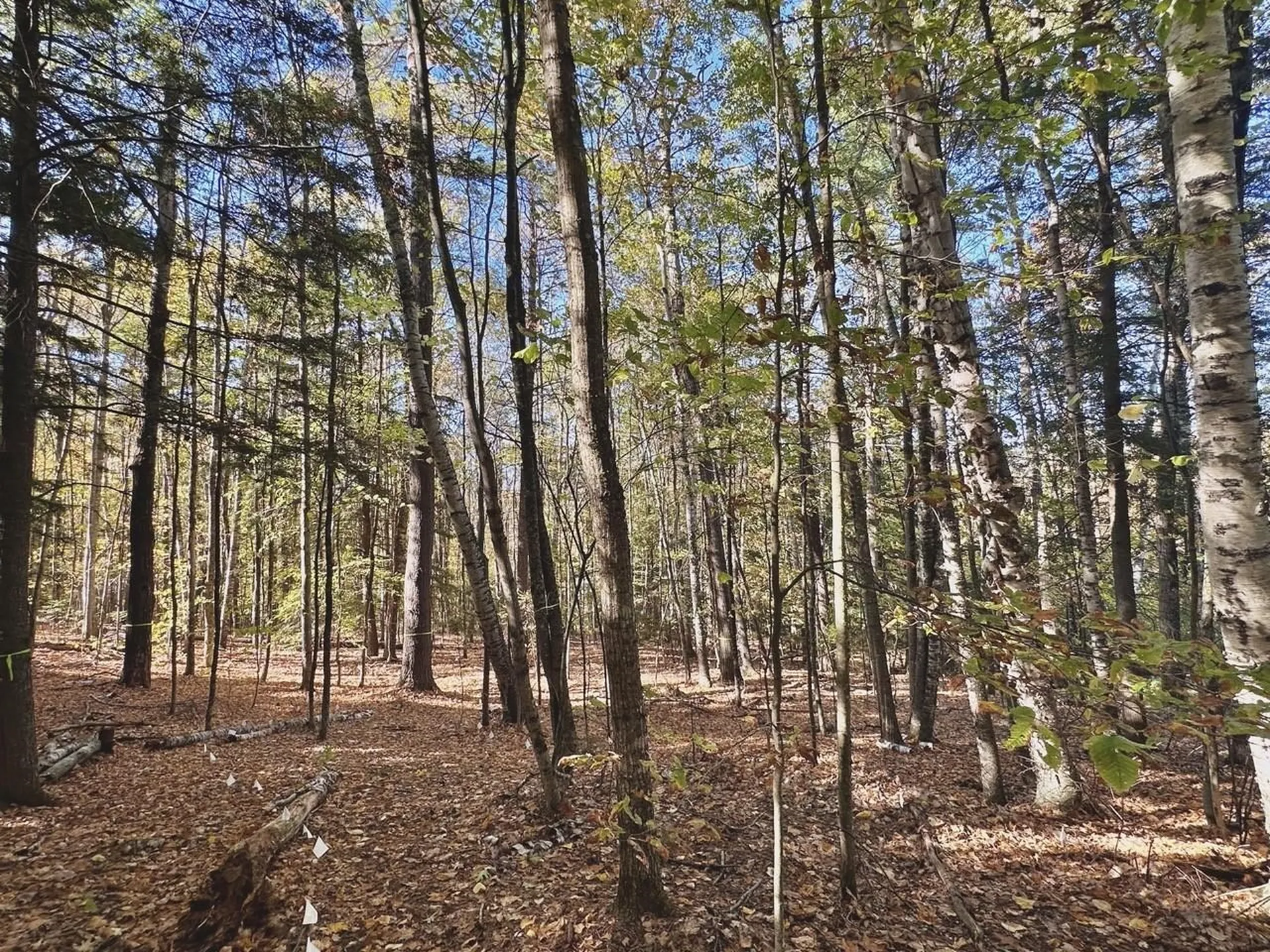 C100 Hodgeman Hiill Road Campton NH 03223