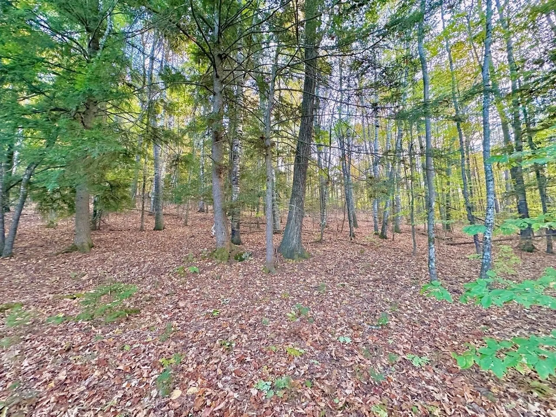 C100 Hodgeman Hiill Road Campton NH 03223