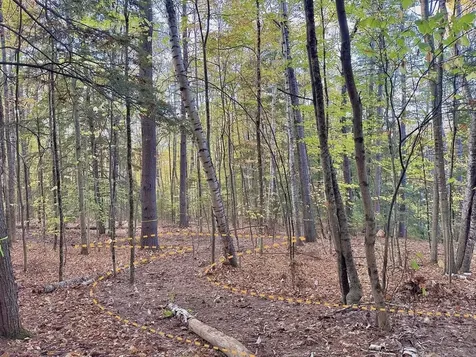 C100 Hodgeman Hiill Road Campton NH 03223