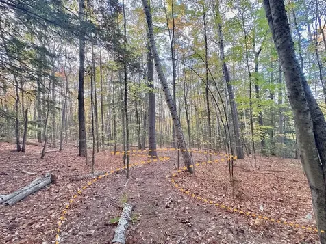 C100 Hodgeman Hiill Road Campton NH 03223