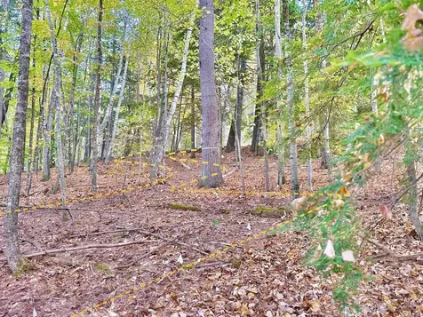 C100 Hodgeman Hiill Road Campton NH 03223