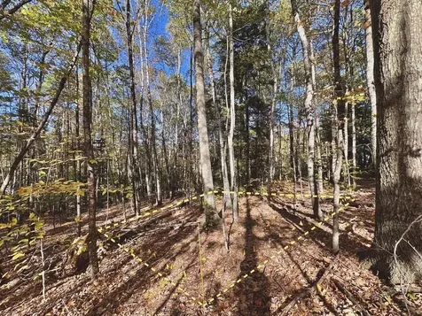 C100 Hodgeman Hiill Road Campton NH 03223