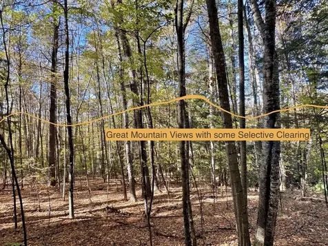 C100 Hodgeman Hiill Road Campton NH 03223