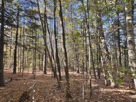 C100 Hodgeman Hiill Road Campton NH 03223