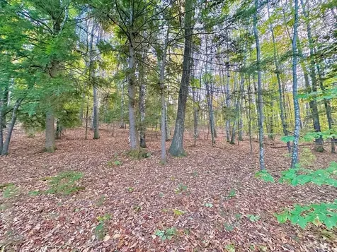 C100 Hodgeman Hiill Road Campton NH 03223