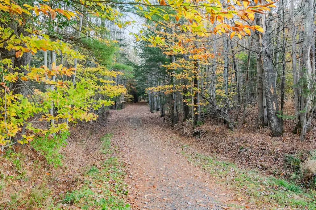 206 Sandy Pines Road East Montpelier VT 05651