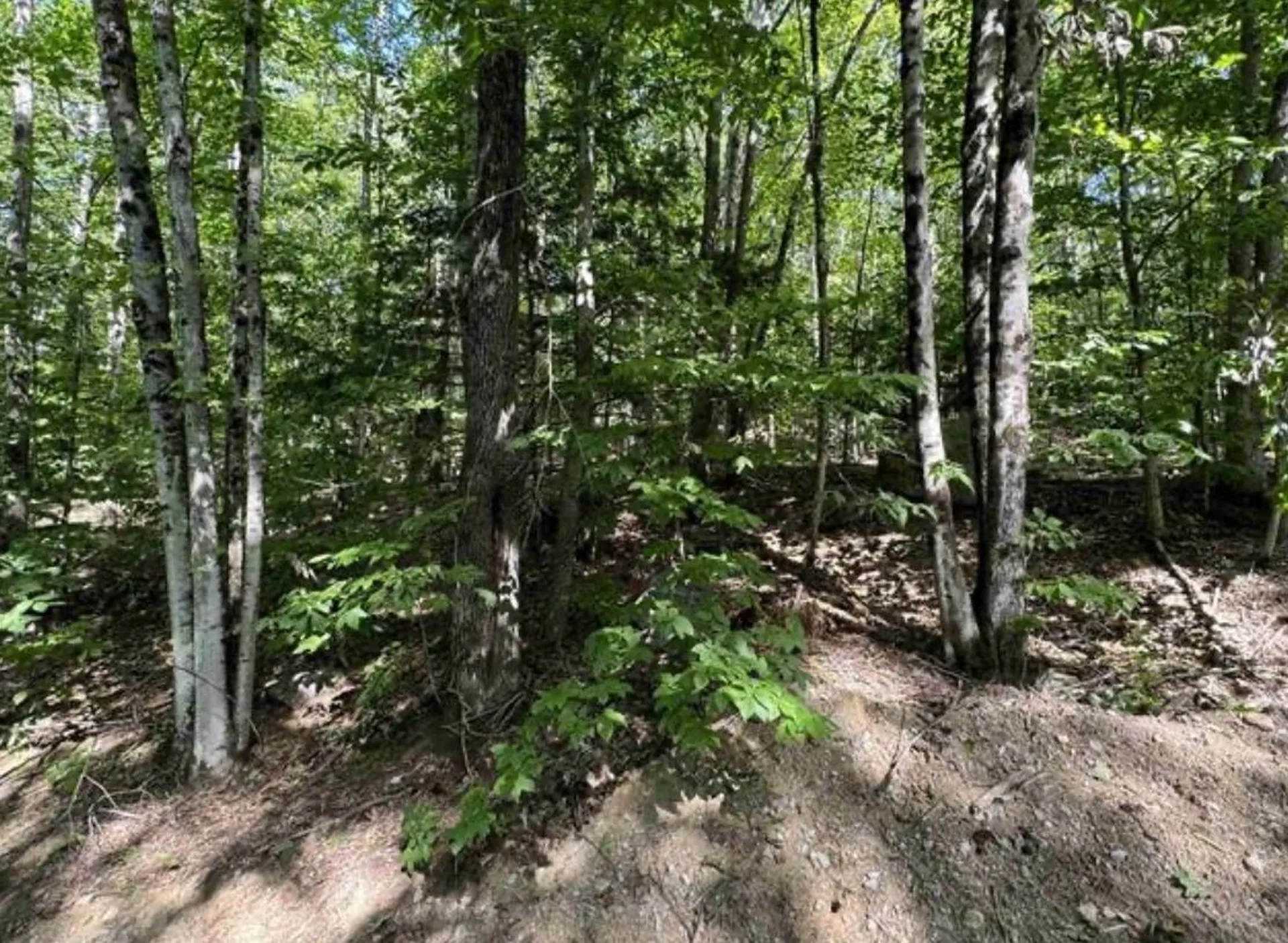 Map 10 Lots 154,155,156 New Hampshire Drive Webster NH 03303