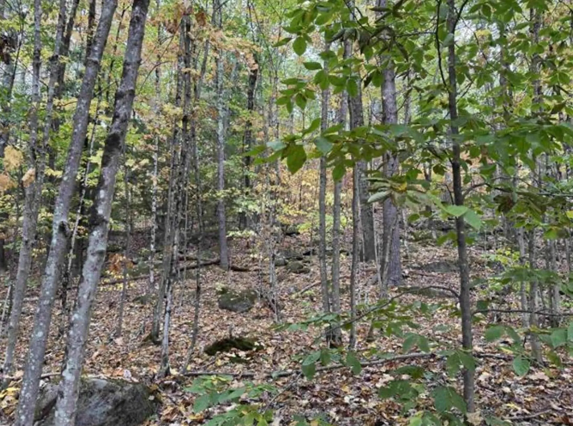 Map 10 Lots 154,155,156 New Hampshire Drive Webster NH 03303