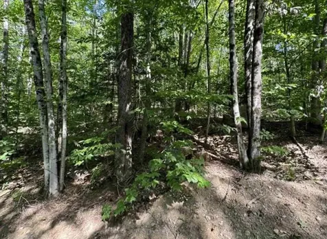 Map 10 Lots 154,155,156 New Hampshire Drive Webster NH 03303