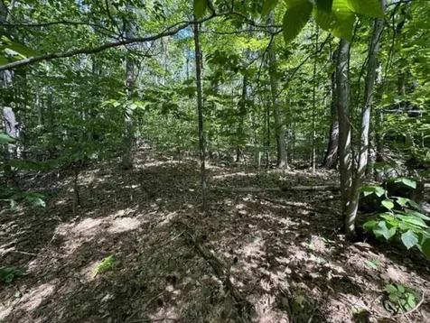Map 10 Lots 154,155,156 New Hampshire Drive Webster NH 03303