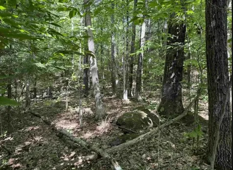 Map 10 Lots 154,155,156 New Hampshire Drive Webster NH 03303