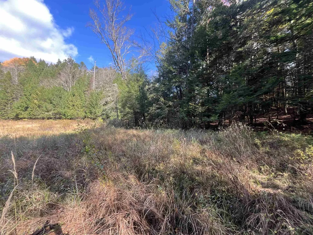 720 Bat Hennessy Road Moretown VT 05660