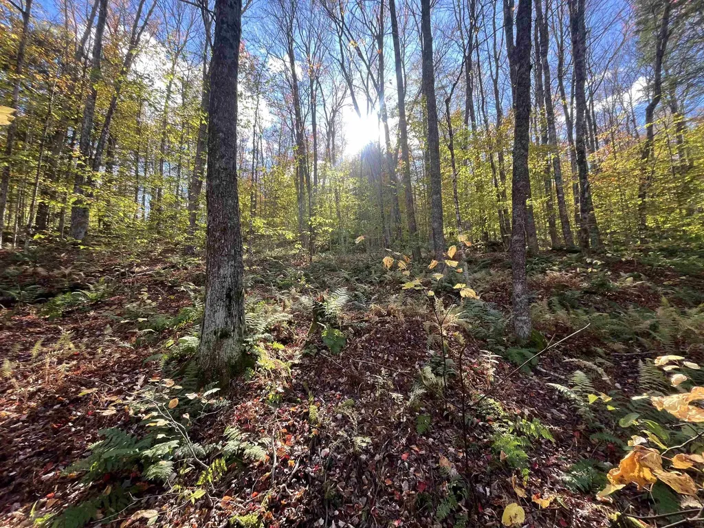 720 Bat Hennessy Road Moretown VT 05660