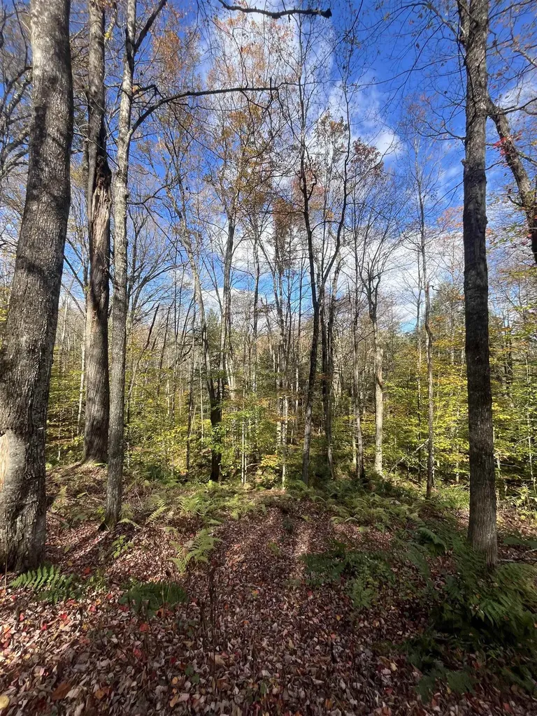 720 Bat Hennessy Road Moretown VT 05660