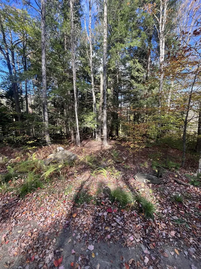 720 Bat Hennessy Road Moretown VT 05660