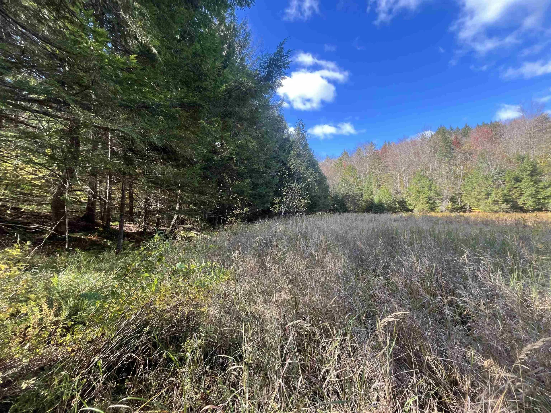 720 Bat Hennessy Road Moretown VT 05660