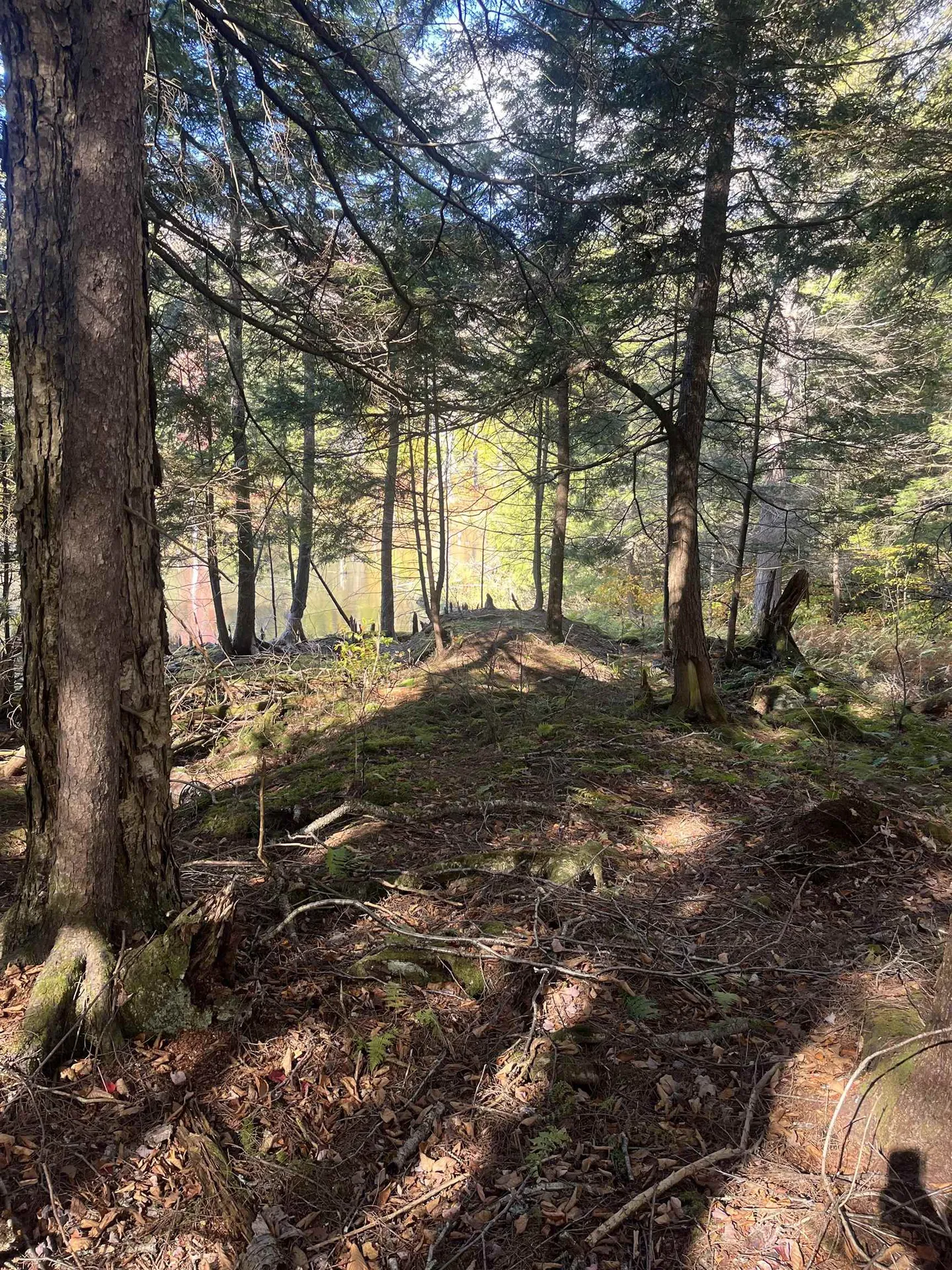 720 Bat Hennessy Road Moretown VT 05660