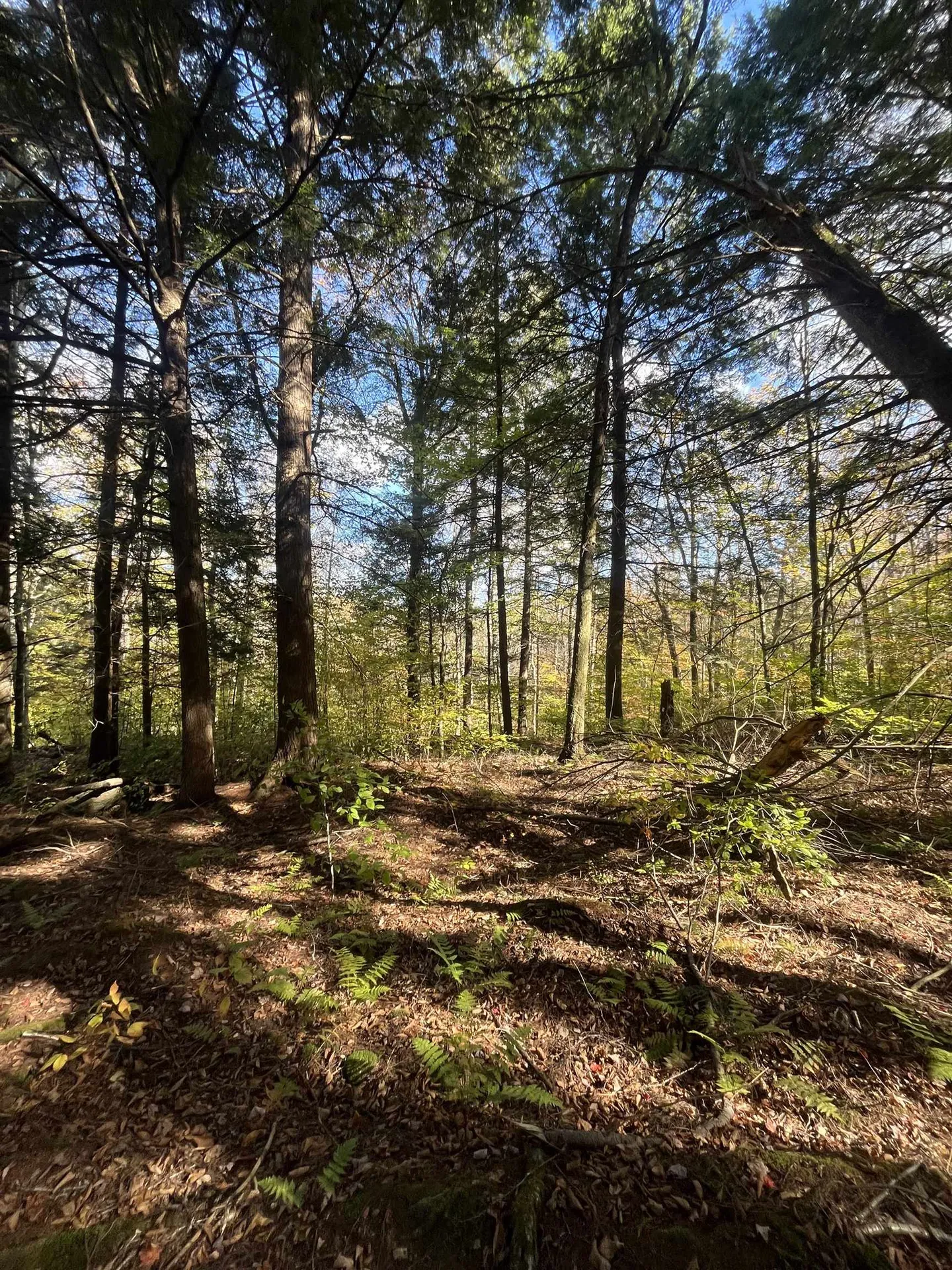 720 Bat Hennessy Road Moretown VT 05660