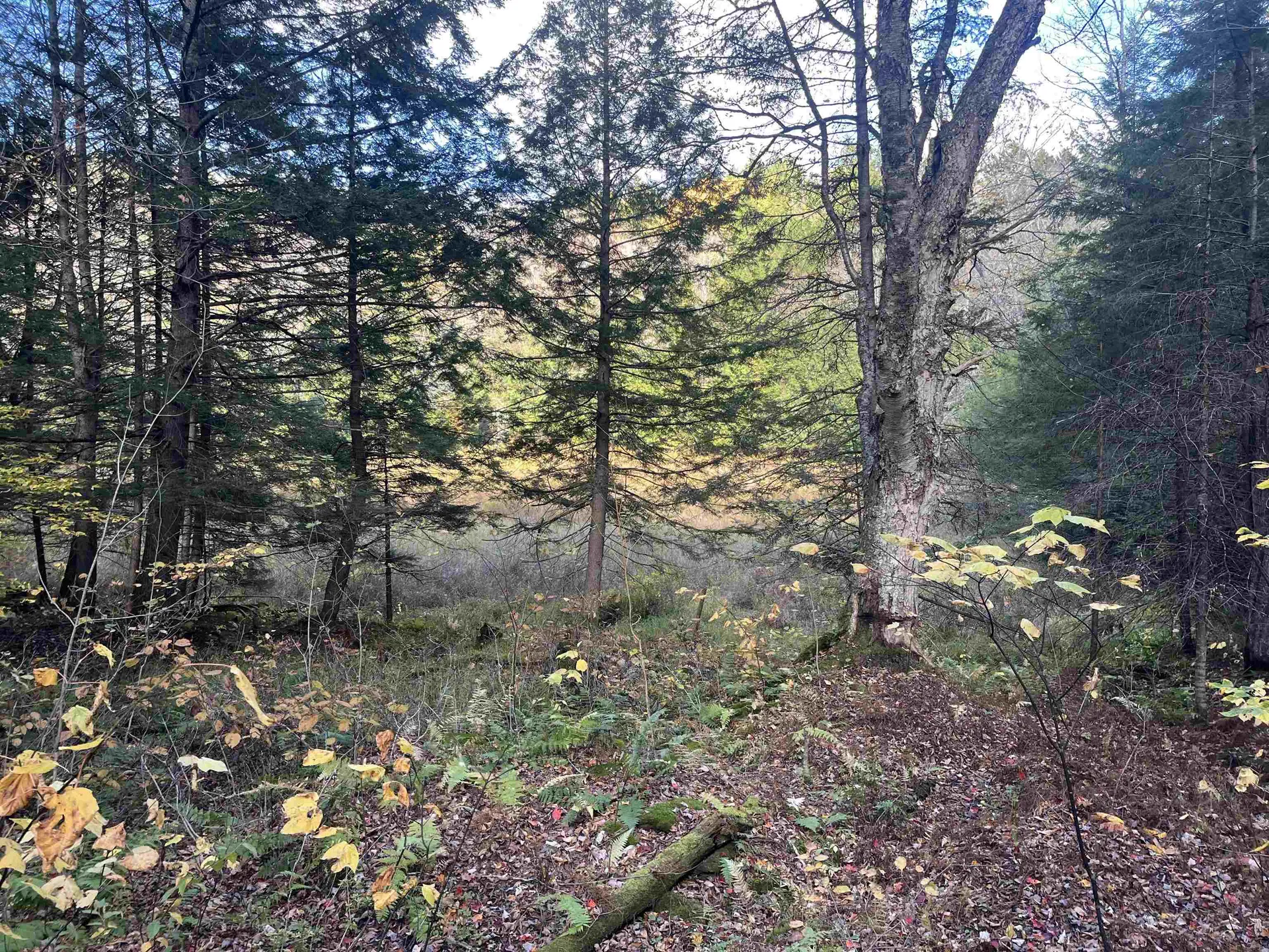 720 Bat Hennessy Road Moretown VT 05660