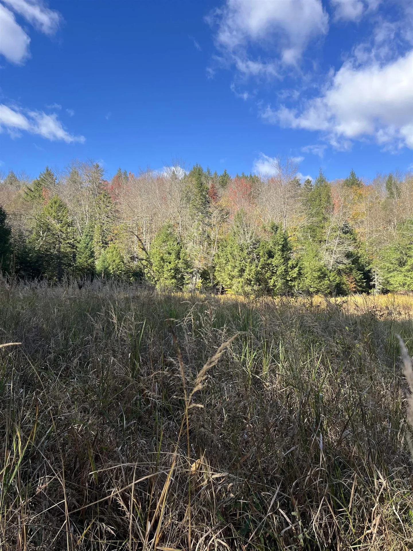 720 Bat Hennessy Road Moretown VT 05660