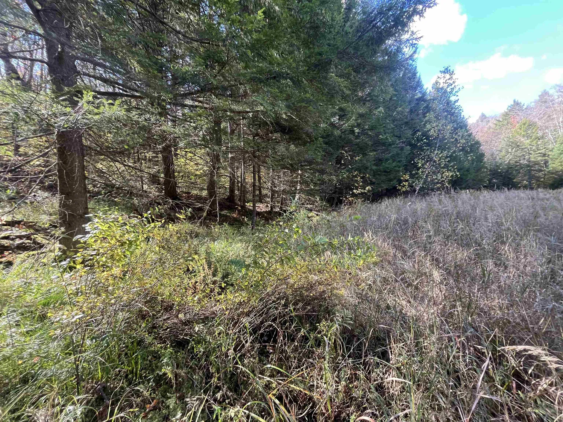 720 Bat Hennessy Road Moretown VT 05660