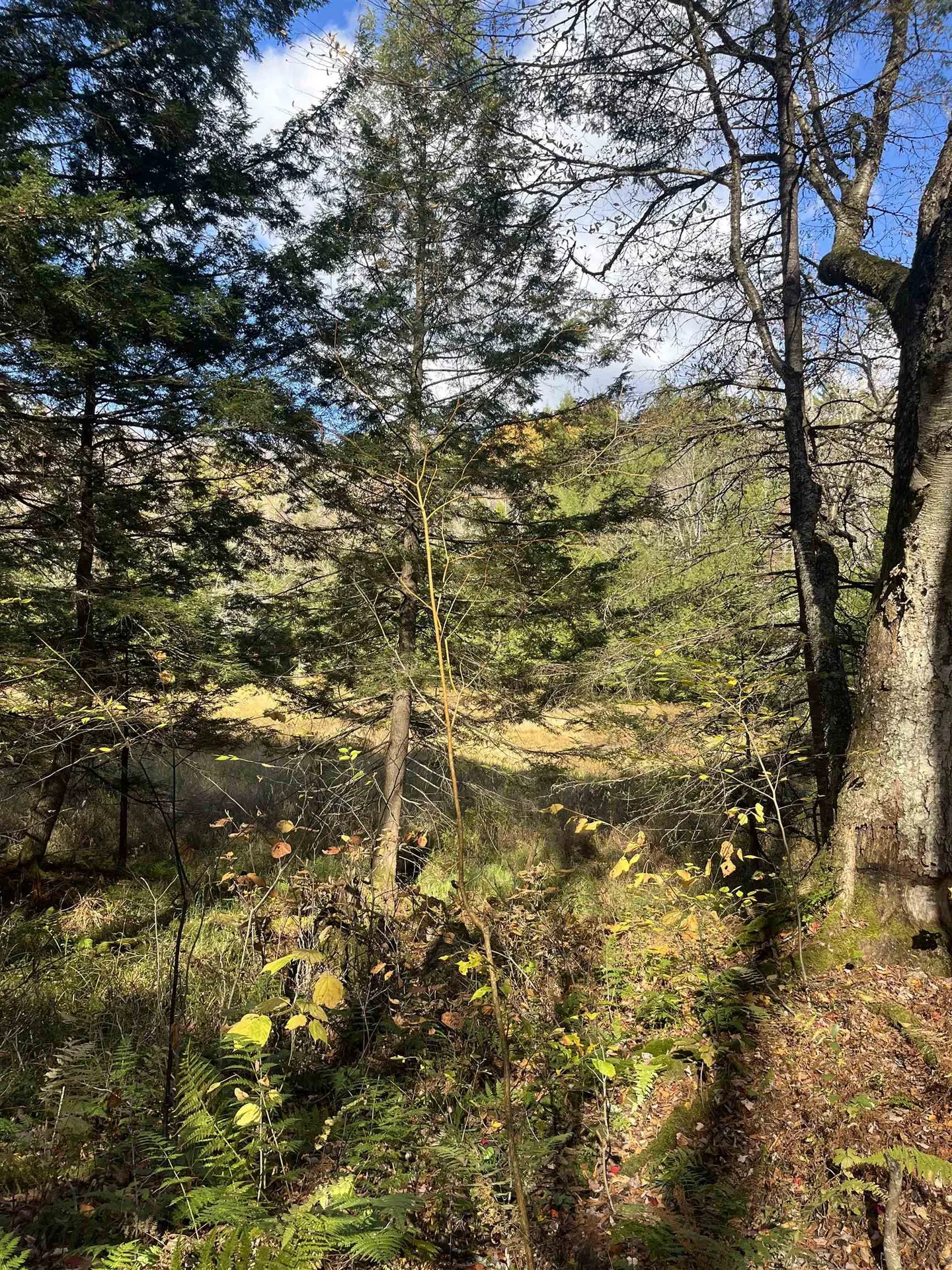 720 Bat Hennessy Road Moretown VT 05660