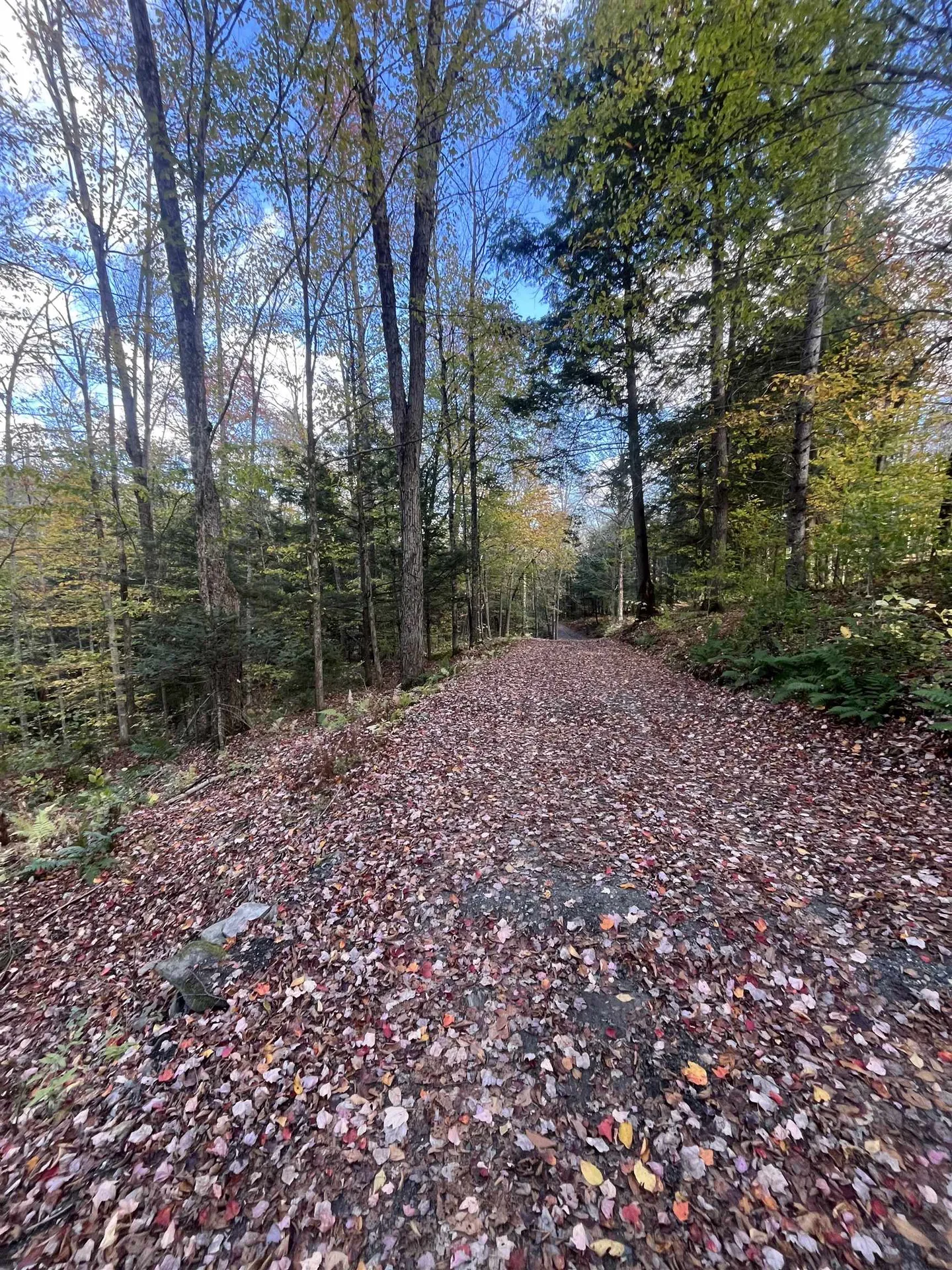 720 Bat Hennessy Road Moretown VT 05660