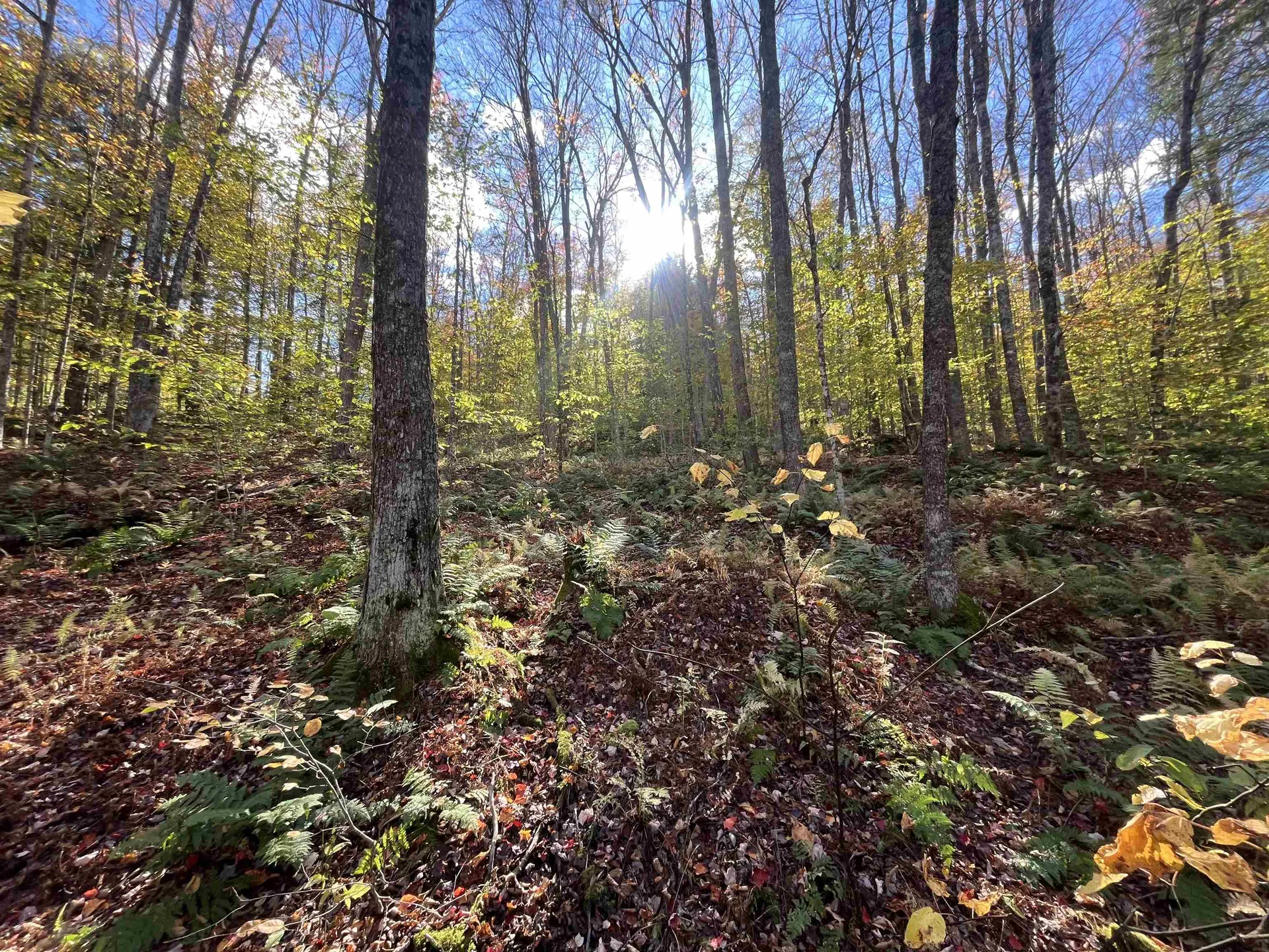 720 Bat Hennessy Road Moretown VT 05660