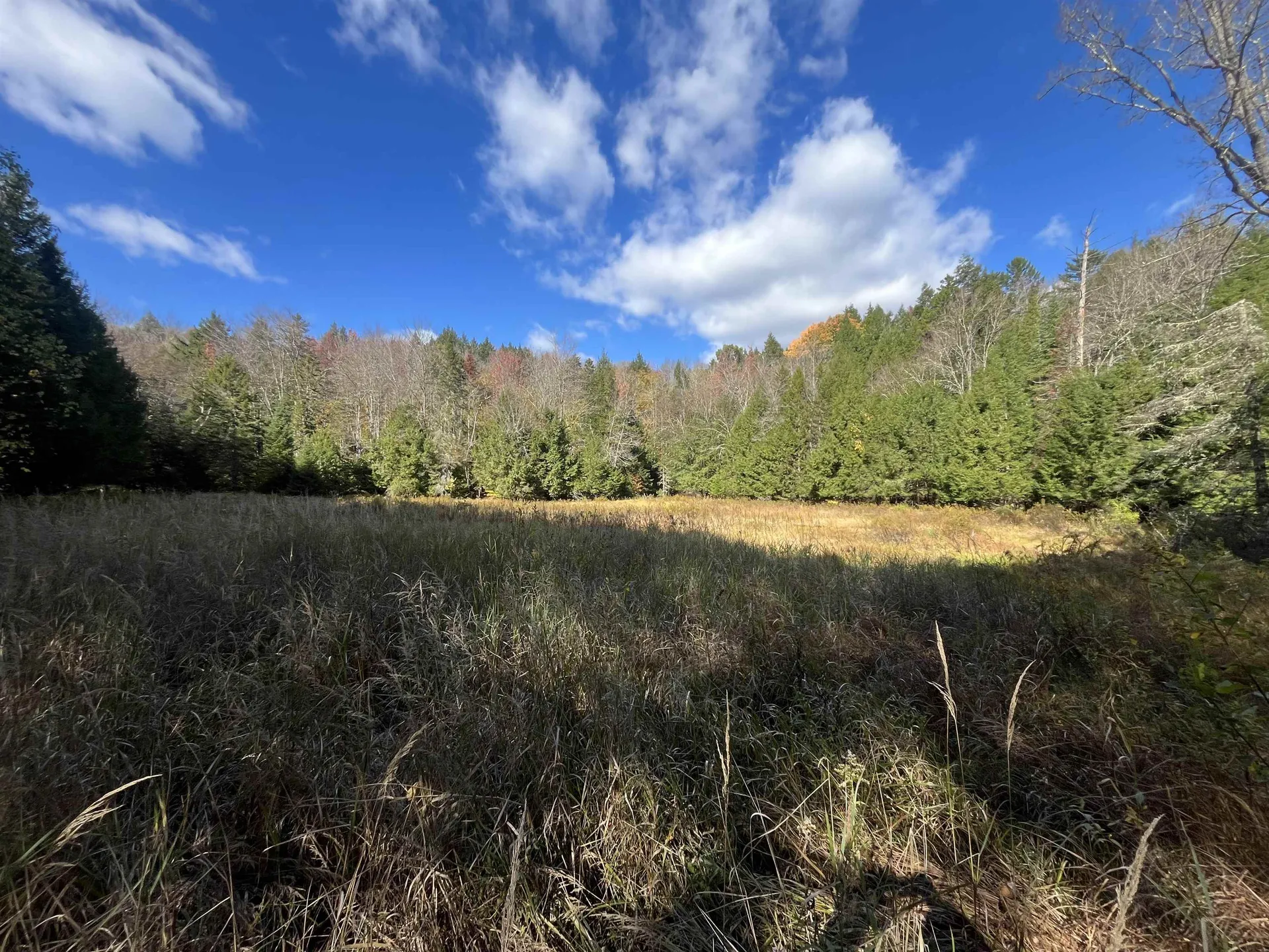 720 Bat Hennessy Road Moretown VT 05660