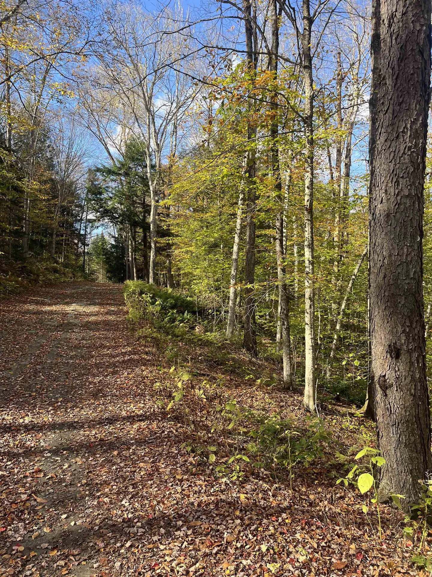 720 Bat Hennessy Road Moretown VT 05660