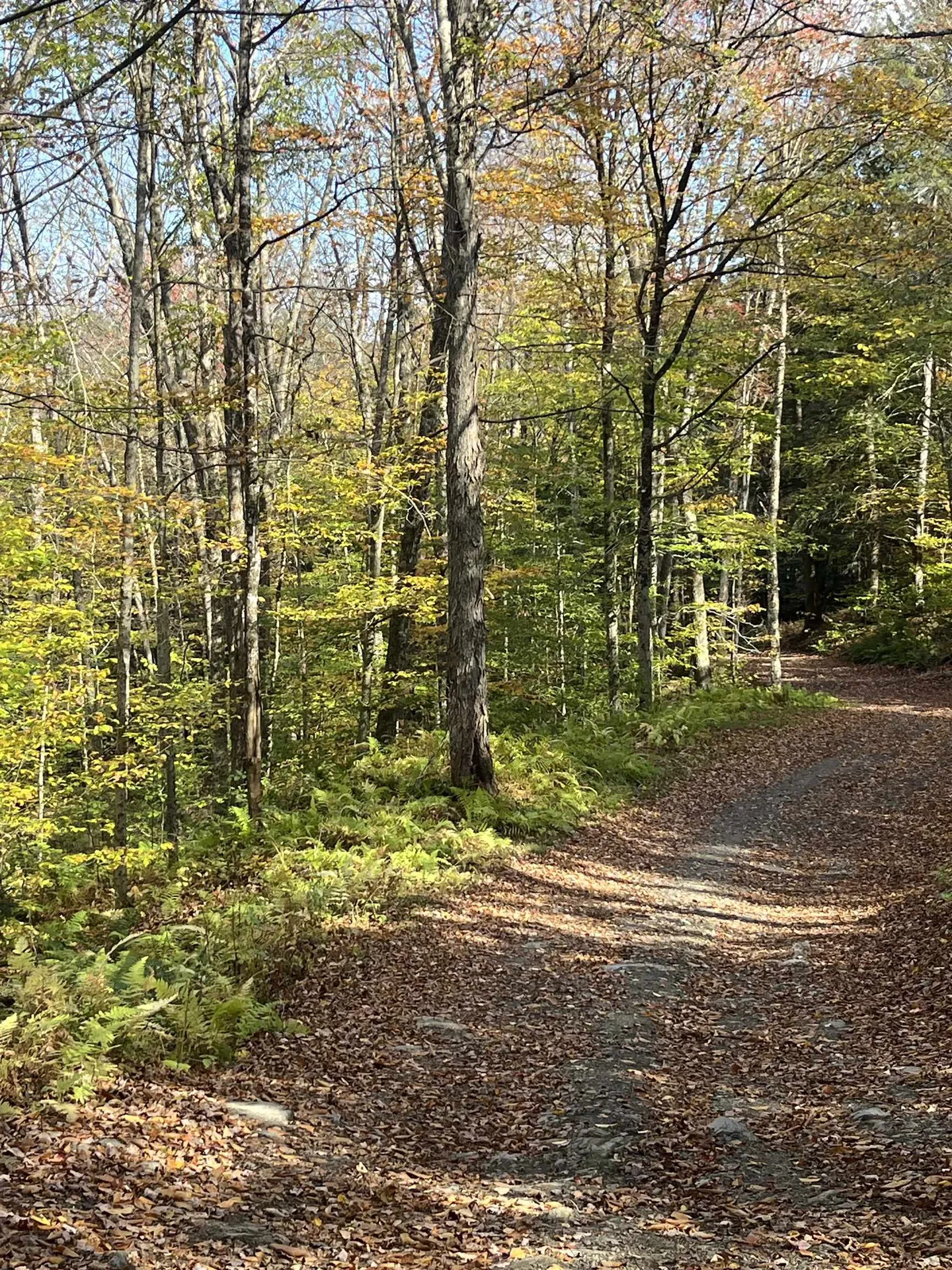 720 Bat Hennessy Road Moretown VT 05660