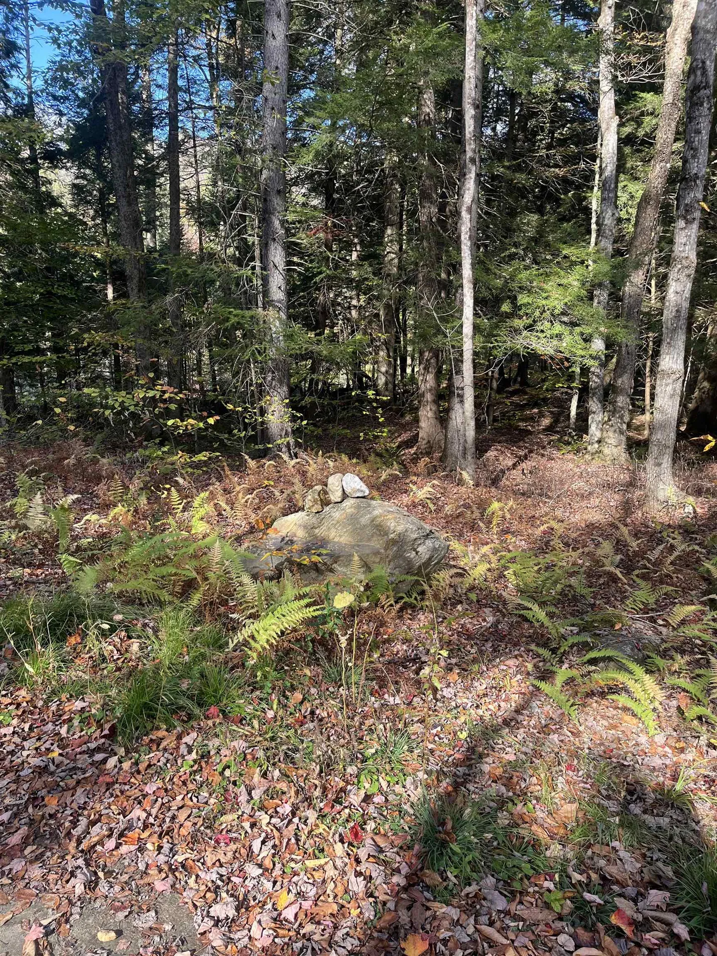 720 Bat Hennessy Road Moretown VT 05660