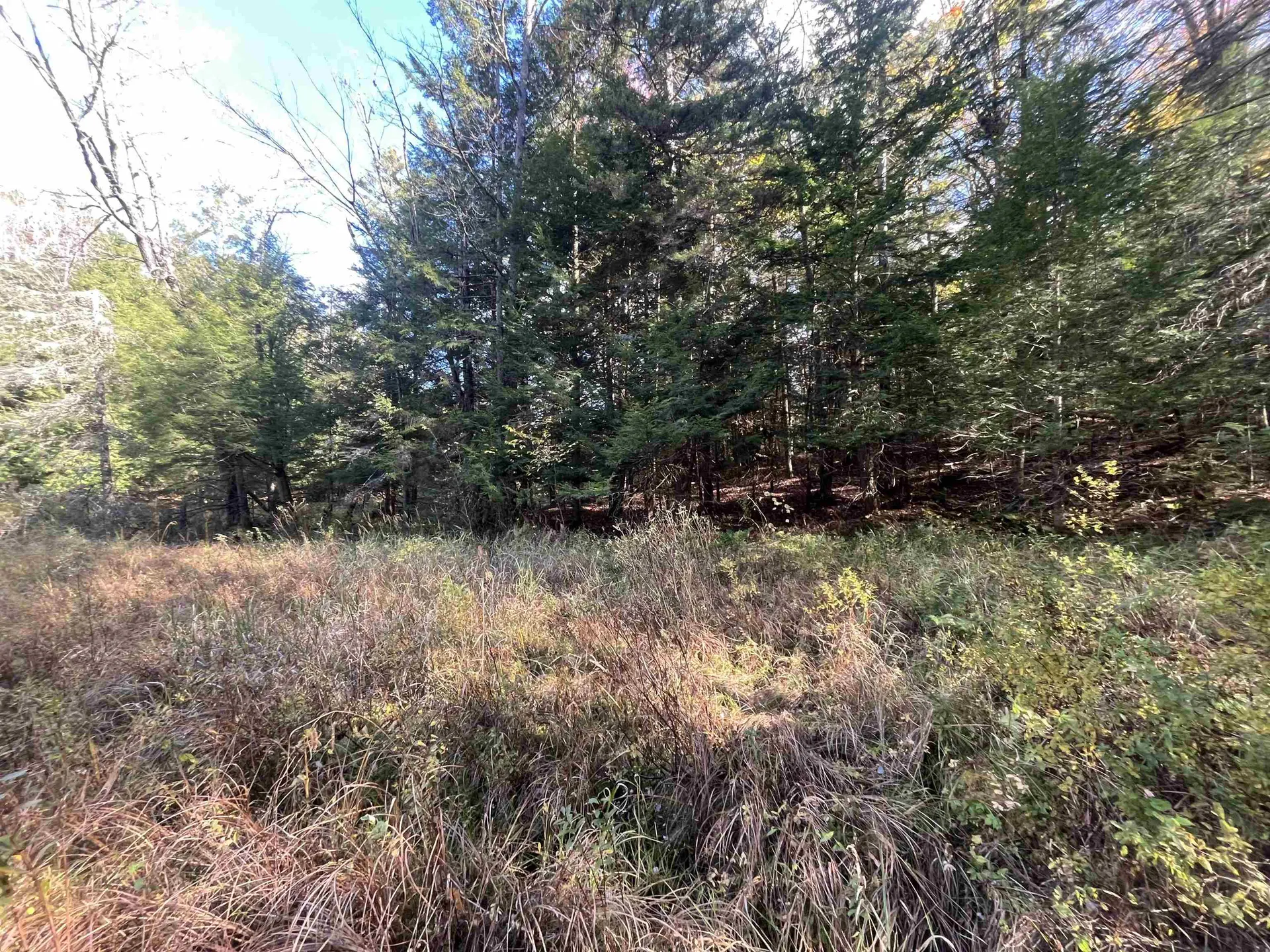 720 Bat Hennessy Road Moretown VT 05660