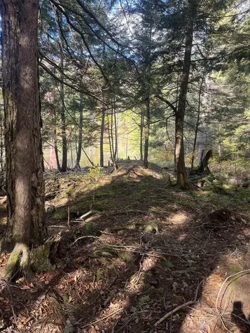 720 Bat Hennessy Road Moretown VT 05660